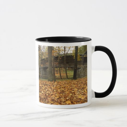 USA, Virginia, Covington, Humpback Covered Tasse (Rechts)