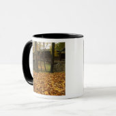USA, Virginia, Covington, Humpback Covered Tasse (Vorderseite Links)