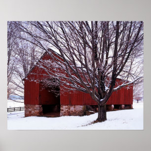 USA, Virginia, Fairfax County, Scheune und Ahorn Poster