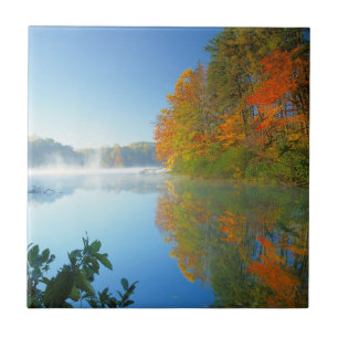 USA, Virginia, Fairy Stone State Park 2 Fliese