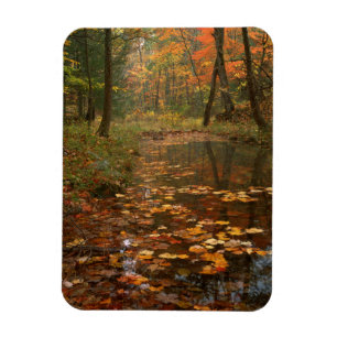 USA, Virginia, Herbst im Douthat Staat Park Magnet
