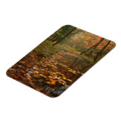 USA, Virginia, Herbst im Douthat Staat Park Magnet (Linke Seite)