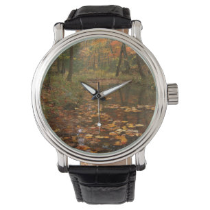 USA, Virginia, Herbst im Douthat State Park Armbanduhr