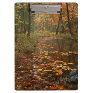 USA, Virginia, Herbst im Douthat State Park Klemmbrett