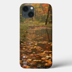 USA, Virginia, Herbst in Douthat Staat Park Case-Mate iPhone Hülle