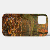 USA, Virginia, Herbst in Douthat Staat Park Case-Mate iPhone Hülle (Rückseite (Horizontal))