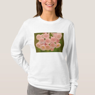 USA, Virginia, Manassas, Manassas National T-Shirt