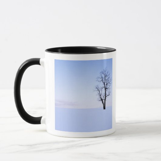 USA, Virginia, Page Landkreis, Black Locust Tasse (Links)