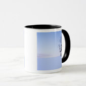 USA, Virginia, Page Landkreis, Black Locust Tasse (VorderseiteRechts)