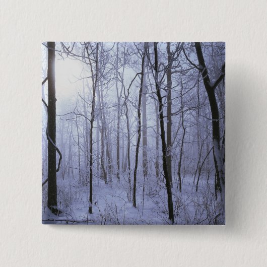 USA, Virginia, Richard Thompson Wildlife Area. Button (Vorderseite)