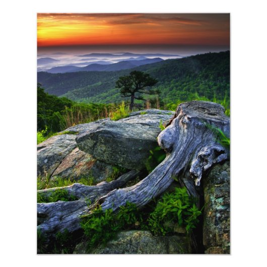 USA, Virginia, Shenandoah National Park. Fotodruck (Vorne)