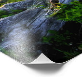 USA, Virginia, Shenandoah National Park. Fotodruck (Ecke)