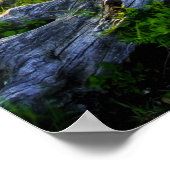 USA, Virginia, Shenandoah National Park. Poster (Ecke)