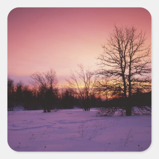 USA, Virginia, Shenandoah National Park, Quadratischer Aufkleber (Vorderseite)