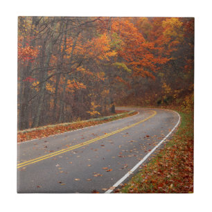 USA, Virginia, Shenandoah National Park, Skyline Fliese