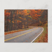 USA, Virginia, Shenandoah National Park, Skyline Postkarte (Vorderseite)