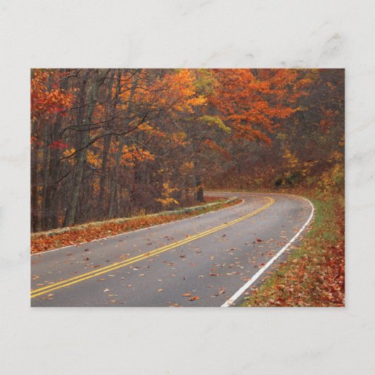 USA, Virginia, Shenandoah National Park, Skyline Postkarte (Vorderseite)