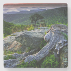 USA, Virginia, Shenandoah National Park. Steinuntersetzer