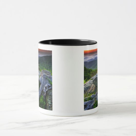 USA, Virginia, Shenandoah National Park. Tasse (Zentrum)