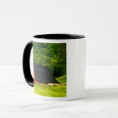 USA, Virginia, Shenandoah Nationalpark, 2 Tasse (Vorderseite Links)