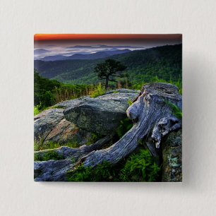 USA, Virginia, Shenandoah-Nationalpark. Button