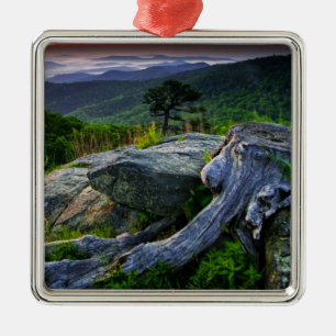 USA, Virginia, Shenandoah-Nationalpark. Ornament Aus Metall
