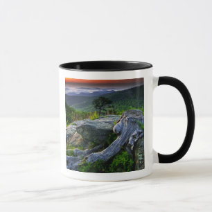 USA, Virginia, Shenandoah-Nationalpark. Tasse