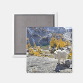 USA, WA, Alpenseen WIlderness-Verzauberungen. Magnet (Vorderseite/Rückseite)