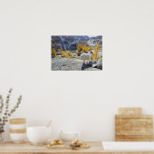 USA, WA, Alpenseen WIlderness-Verzauberungen. Poster (Küche)