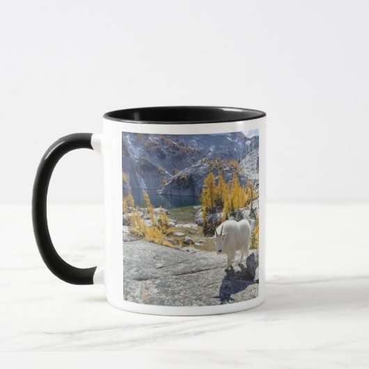 USA, WA, Alpenseen WIlderness-Verzauberungen. Tasse (Links)