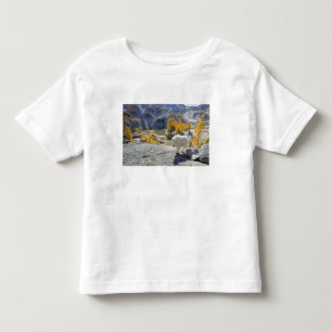 USA, WA, Alpine Lakes WIlderness Enchantments. Kleinkind T-shirt