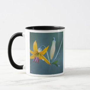 USA, WA, Rainier National Park.Kolumbien Tasse
