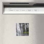 USA, WA, Rainier NP, Narada Falls Magnet (In Situ (Geschirrspüler))