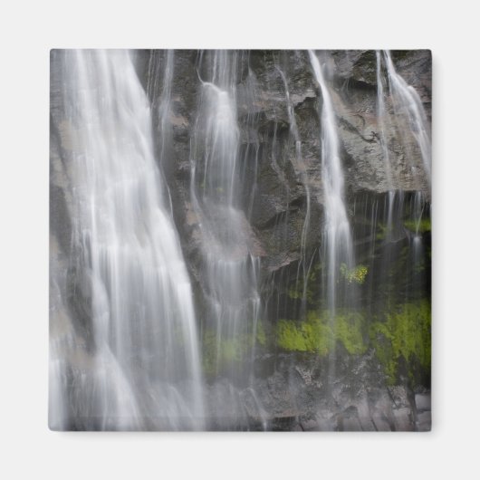 USA, WA, Rainier NP, Narada Falls Magnet (Vorne)