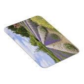 USA, WA, Sequim, Lila Haze Lavender Farm Magnet (Rechte Seite)