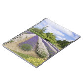 USA, WA, Sequim, Lila Haze Lavender Farm Notizblock (Linke Seite)