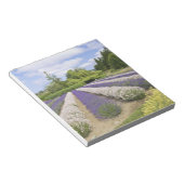 USA, WA, Sequim, Lila Haze Lavender Farm Notizblock (angewinkelt)