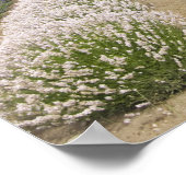 USA, WA, Sequim, Lila Haze Lavender Farm Poster (Ecke)