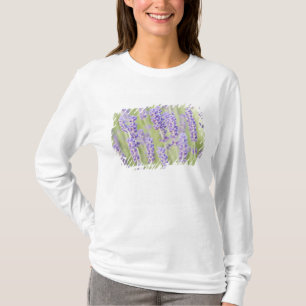 USA, WA, Squim, Lavendel (Selektiver Fokus) T-Shirt