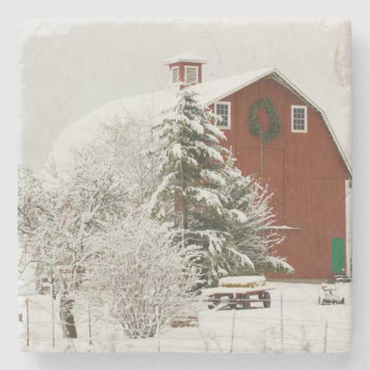 USA, WA, Whidbey Island. Steinuntersetzer (Vorderseite)