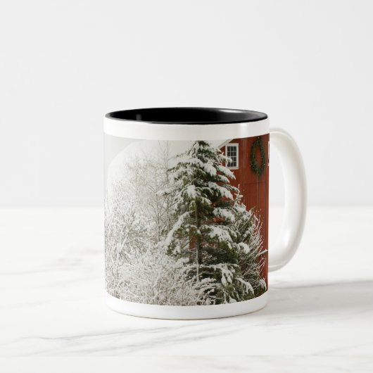 USA, WA, Whidbey Island. Zweifarbige Tasse (VorderseiteRechts)