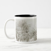 USA, WA, Whidbey Island. Zweifarbige Tasse (Links)