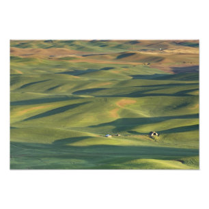 USA, WA, Whitman Co., Palouse Farm Felder Von Fotodruck