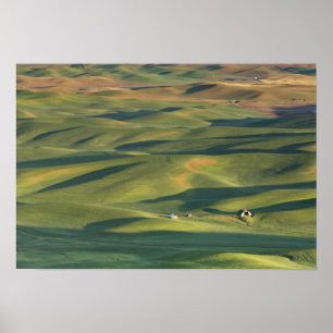 USA, WA, Whitman Co., Palouse Farm Felder Von Poster