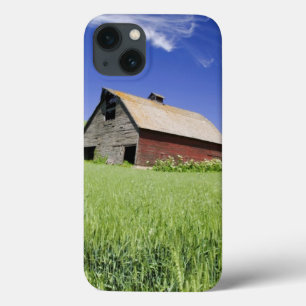USA, Washington, Altes rotes Barn im Frühjahr iPhone 13 Hülle