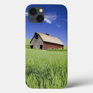 USA, Washington, Altes rotes Barn im Frühjahr Case-Mate iPhone Hülle