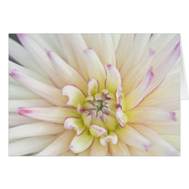 USA, Washington, Bellevue, Bellevue Botanical 2 (Vorderseite (Horizontal))