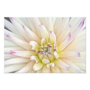 USA, Washington, Bellevue, Bellevue Botanical 2 Fotodruck