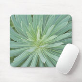 USA, Washington, Bellevue, Bellevue Botanical 4 Mousepad (Mit Mouse)