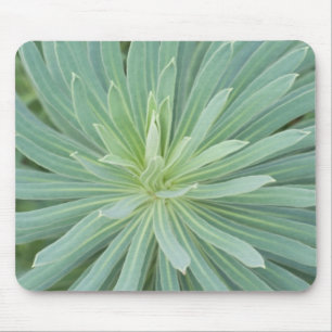USA, Washington, Bellevue, Bellevue Botanical 4 Mousepad